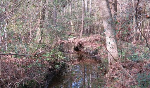 Photo of UNDER CONTRACT!  193 Acres of Farm and Timber Land For Sale in Columbus County NC!