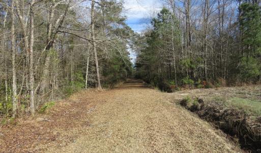 Photo of UNDER CONTRACT!  193 Acres of Farm and Timber Land For Sale in Columbus County NC!