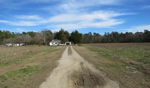 Photo of UNDER CONTRACT!  193 Acres of Farm and Timber Land For Sale in Columbus County NC!