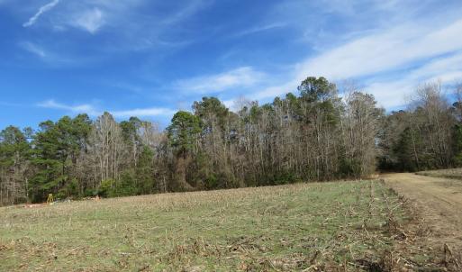 Photo of UNDER CONTRACT!  193 Acres of Farm and Timber Land For Sale in Columbus County NC!