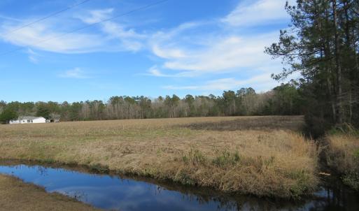 Photo of UNDER CONTRACT!  193 Acres of Farm and Timber Land For Sale in Columbus County NC!