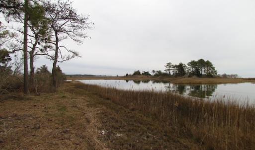 Photo of UNDER CONTRACT!  18  Acres of Waterfront Property For Sale in Mathews County Virginia!