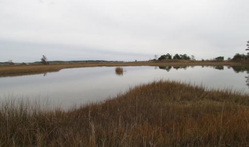 Photo of UNDER CONTRACT!  18  Acres of Waterfront Property For Sale in Mathews County Virginia!