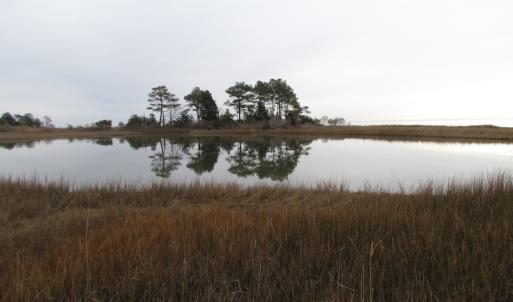 Photo of UNDER CONTRACT!  18  Acres of Waterfront Property For Sale in Mathews County Virginia!
