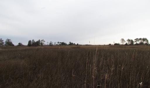 Photo of UNDER CONTRACT!  18  Acres of Waterfront Property For Sale in Mathews County Virginia!