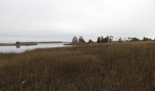 Photo of UNDER CONTRACT!  18  Acres of Waterfront Property For Sale in Mathews County Virginia!