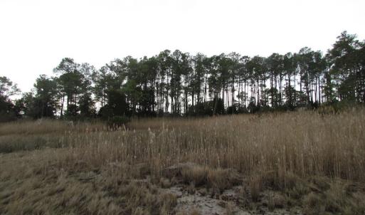 Photo of UNDER CONTRACT!  18  Acres of Waterfront Property For Sale in Mathews County Virginia!