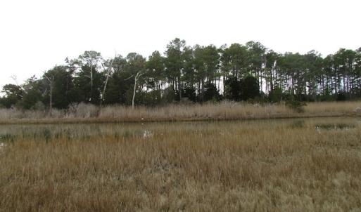 Photo of UNDER CONTRACT!  18  Acres of Waterfront Property For Sale in Mathews County Virginia!