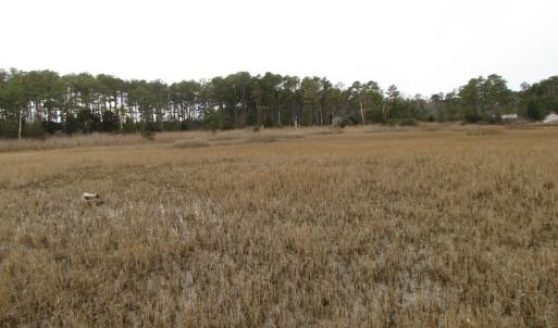 Photo of UNDER CONTRACT!  18  Acres of Waterfront Property For Sale in Mathews County Virginia!