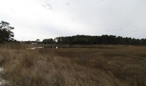 Photo of UNDER CONTRACT!  18  Acres of Waterfront Property For Sale in Mathews County Virginia!
