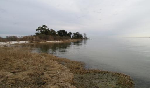 Photo of UNDER CONTRACT!  18  Acres of Waterfront Property For Sale in Mathews County Virginia!