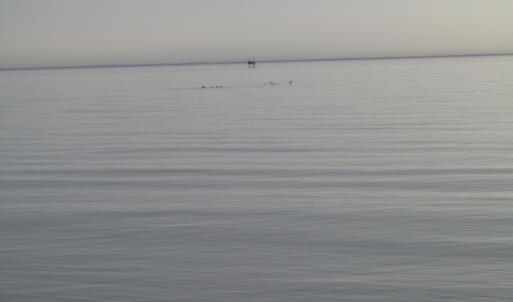 Photo of UNDER CONTRACT!  18  Acres of Waterfront Property For Sale in Mathews County Virginia!
