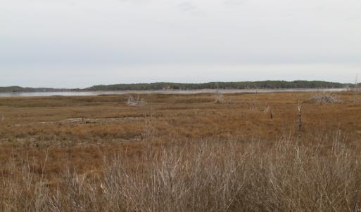 Photo of UNDER CONTRACT!  18  Acres of Waterfront Property For Sale in Mathews County Virginia!