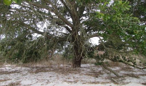 Photo of UNDER CONTRACT!  18  Acres of Waterfront Property For Sale in Mathews County Virginia!