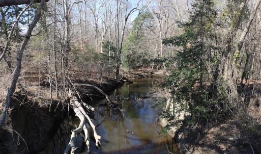 Photo of UNDER CONTRACT!  20.5 Acres of Residential and Hunting Land For Sale in Greensville County VA!
