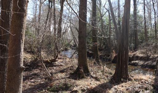 Photo of UNDER CONTRACT!  20.5 Acres of Residential and Hunting Land For Sale in Greensville County VA!