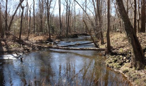 Photo of UNDER CONTRACT!  20.5 Acres of Residential and Hunting Land For Sale in Greensville County VA!