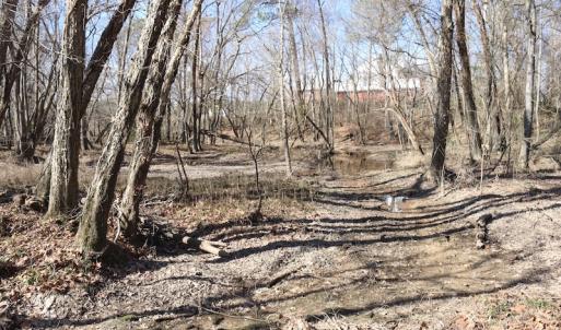 Photo of UNDER CONTRACT!  20.5 Acres of Residential and Hunting Land For Sale in Greensville County VA!