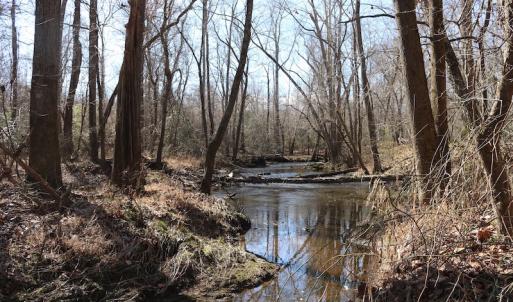 Photo of UNDER CONTRACT!  20.5 Acres of Residential and Hunting Land For Sale in Greensville County VA!