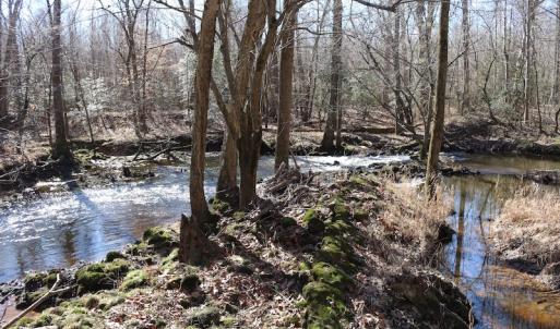 Photo of UNDER CONTRACT!  20.5 Acres of Residential and Hunting Land For Sale in Greensville County VA!