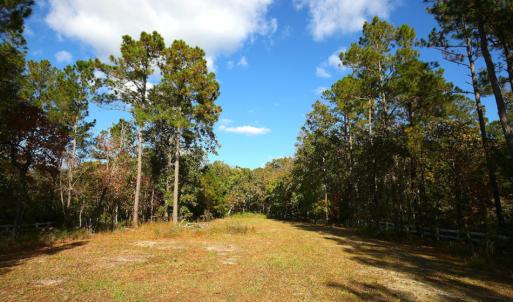 Photo of UNDER CONTRACT!  3.76 Acres of Waterfront Land For Sale In Beaufort County NC!