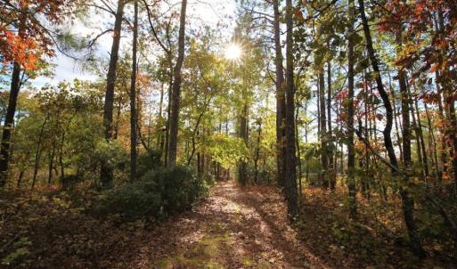 Photo of UNDER CONTRACT!  3.76 Acres of Waterfront Land For Sale In Beaufort County NC!