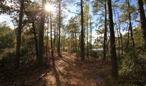 Photo of UNDER CONTRACT!  3.76 Acres of Waterfront Land For Sale In Beaufort County NC!