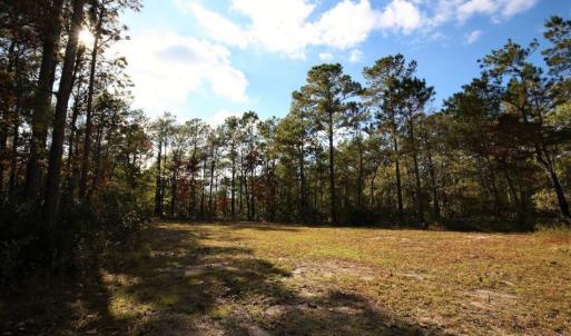 Photo of UNDER CONTRACT!  3.76 Acres of Waterfront Land For Sale In Beaufort County NC!