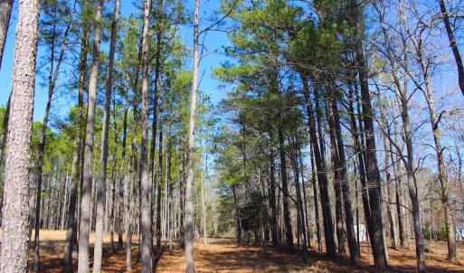 Photo of UNDER CONTRACT!  0.52 Acre Residential Lot For Sale in Pamlico County NC!