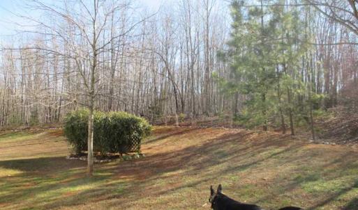 Photo of SOLD!!  35 Acres of Farm and Residential Land For Sale in Charlotte County VA!