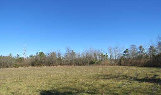 Photo of SOLD!  50 Acres of Farm and Timber Land For Sale in Cumberland County NC!