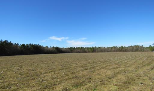 Photo of SOLD!  50 Acres of Farm and Timber Land For Sale in Cumberland County NC!
