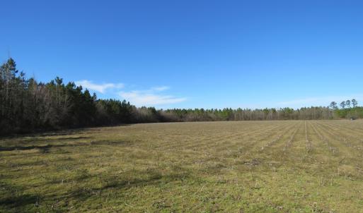 Photo of SOLD!  50 Acres of Farm and Timber Land For Sale in Cumberland County NC!