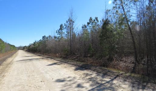Photo of SOLD!  50 Acres of Farm and Timber Land For Sale in Cumberland County NC!