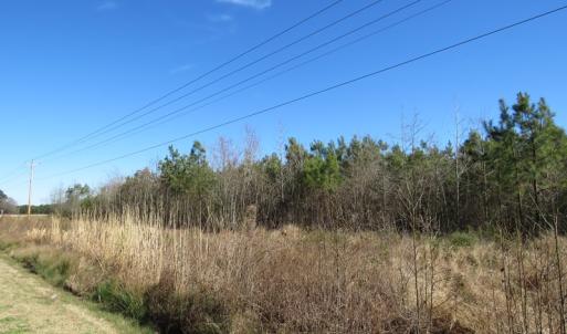 Photo of SOLD!  50 Acres of Farm and Timber Land For Sale in Cumberland County NC!