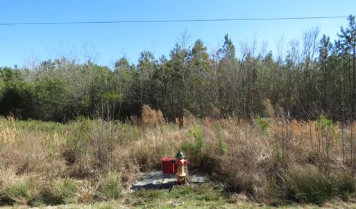 Photo of SOLD!  50 Acres of Farm and Timber Land For Sale in Cumberland County NC!