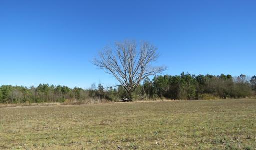 Photo of SOLD!  50 Acres of Farm and Timber Land For Sale in Cumberland County NC!