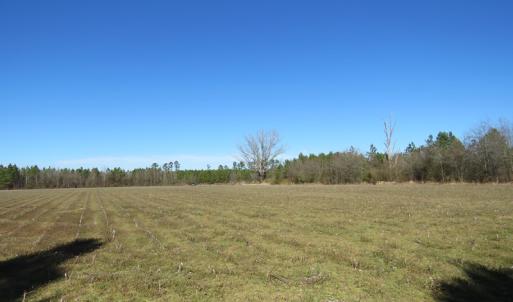 Photo of SOLD!  50 Acres of Farm and Timber Land For Sale in Cumberland County NC!