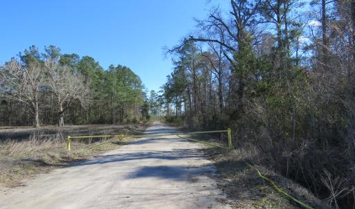 Photo of UNDER CONTRACT!  1383 Acres of Timber and Farm Land For Sale in Robeson County NC!
