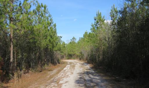 Photo of UNDER CONTRACT!  1383 Acres of Timber and Farm Land For Sale in Robeson County NC!