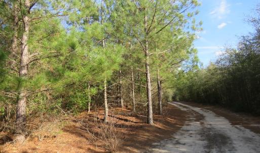Photo of UNDER CONTRACT!  1383 Acres of Timber and Farm Land For Sale in Robeson County NC!