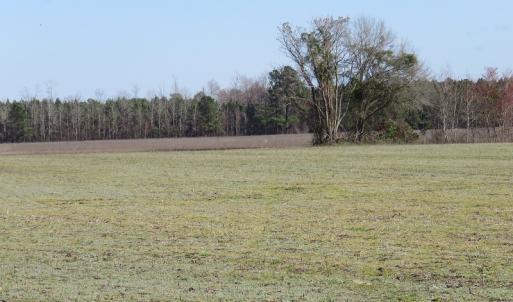 Photo of UNDER CONTRACT!  1383 Acres of Timber and Farm Land For Sale in Robeson County NC!