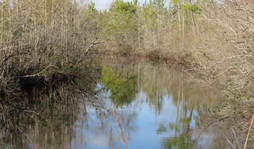 Photo of UNDER CONTRACT!  1383 Acres of Timber and Farm Land For Sale in Robeson County NC!