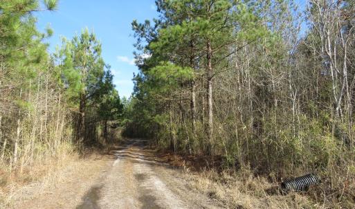 Photo of UNDER CONTRACT!  1383 Acres of Timber and Farm Land For Sale in Robeson County NC!