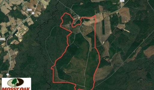 Photo of UNDER CONTRACT!  1383 Acres of Timber and Farm Land For Sale in Robeson County NC!