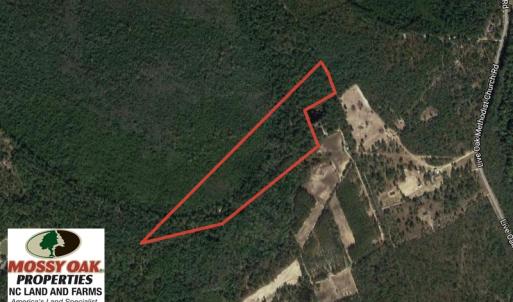 Photo of UNDER CONTRACT!  25 Acres of Hunting Land For Sale in Bladen County NC!