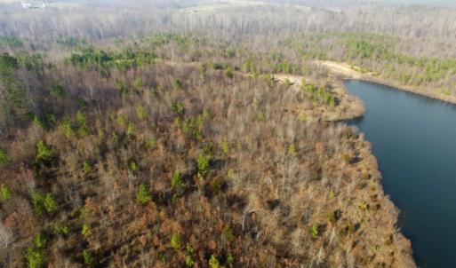 Photo of UNDER CONTRACT!  96 Acres of Recreational Land For Sale in Nottoway County VA!