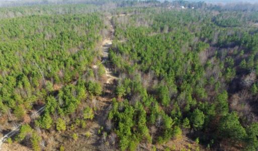 Photo of UNDER CONTRACT!  96 Acres of Recreational Land For Sale in Nottoway County VA!