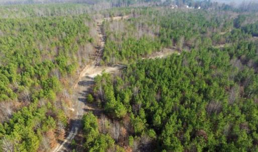 Photo of UNDER CONTRACT!  96 Acres of Recreational Land For Sale in Nottoway County VA!