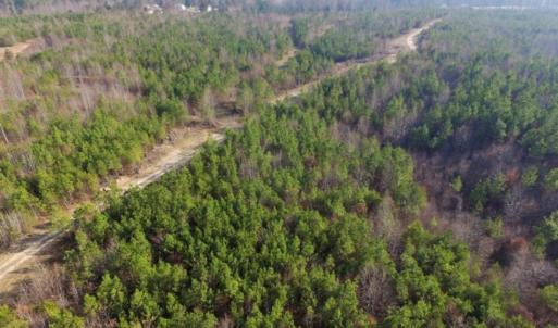 Photo of UNDER CONTRACT!  96 Acres of Recreational Land For Sale in Nottoway County VA!
